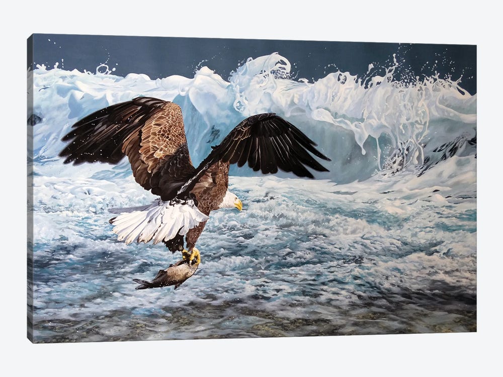 Pacific Rim Bald Eagle by Julian Wheat 1-piece Canvas Artwork