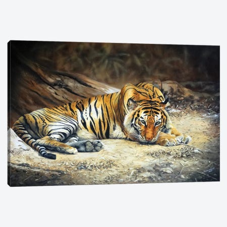Royal Bengal Tigers Realm Canvas Print #JUW55} by Julian Wheat Canvas Artwork