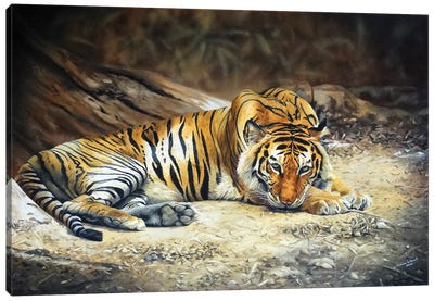 Royal Bengal Tigers Realm Canvas Art Print - Julian Wheat