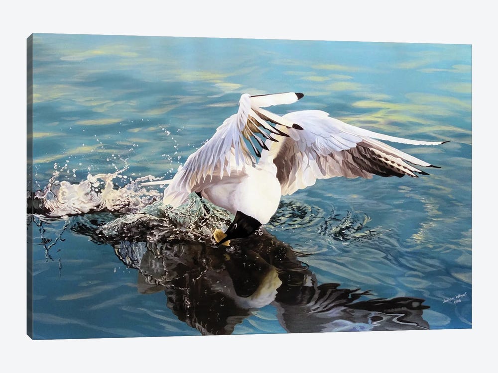Skagway Gull by Julian Wheat 1-piece Canvas Art