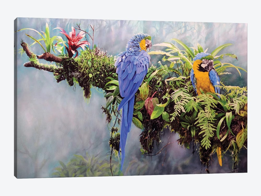 Blue And Gold Macaws by Julian Wheat 1-piece Art Print