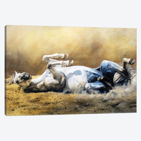 Horse Dusting Canvas Print #JUW58} by Julian Wheat Canvas Print