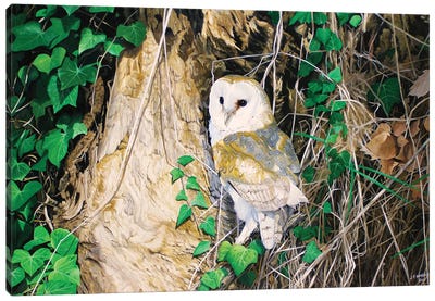 Barn Owl Soirée Canvas Art Print - Julian Wheat