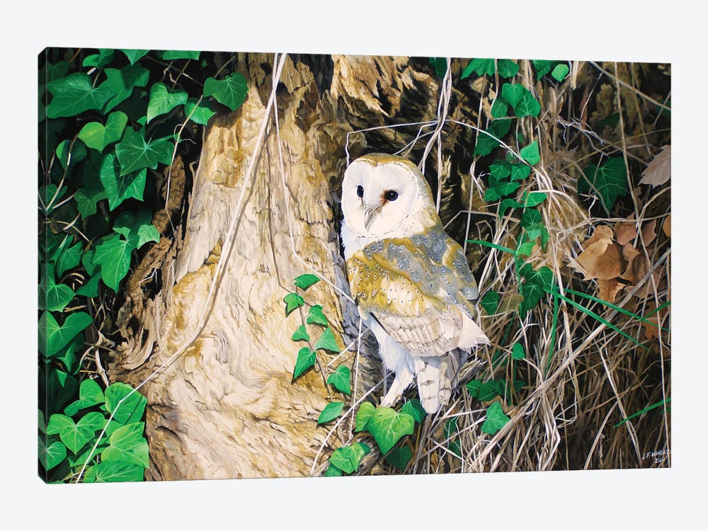 Barn Owl Soirée by Julian Wheat 1-piece Art Print