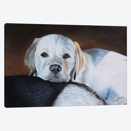 Labrador Puppy Canvas Print #JUW60} by Julian Wheat Canvas Art
