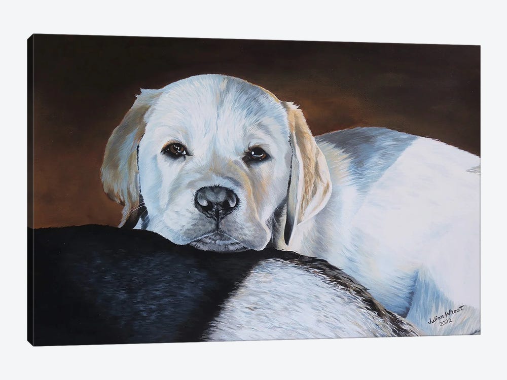 Labrador Puppy by Julian Wheat 1-piece Art Print