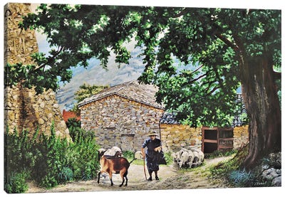 Les Cevennes,France Canvas Art Print - Goat Art
