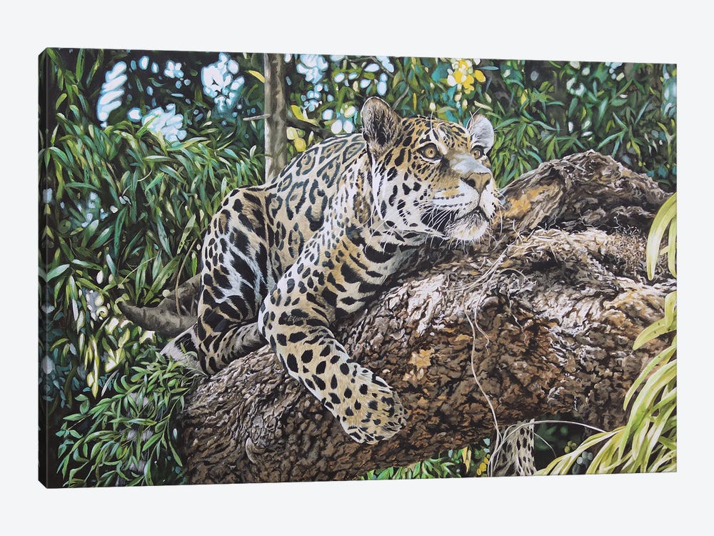 A Watchful Eye,Jaguar by Julian Wheat 1-piece Canvas Wall Art