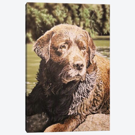 Souvenirs Of Summer,Chocolate Labrador Canvas Print #JUW64} by Julian Wheat Art Print