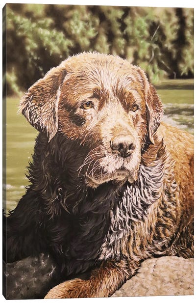 Souvenirs Of Summer,Chocolate Labrador Canvas Art Print - Julian Wheat