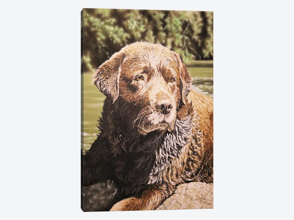 Souvenirs Of Summer,Chocolate Labrador by Julian Wheat 1-piece Canvas Print