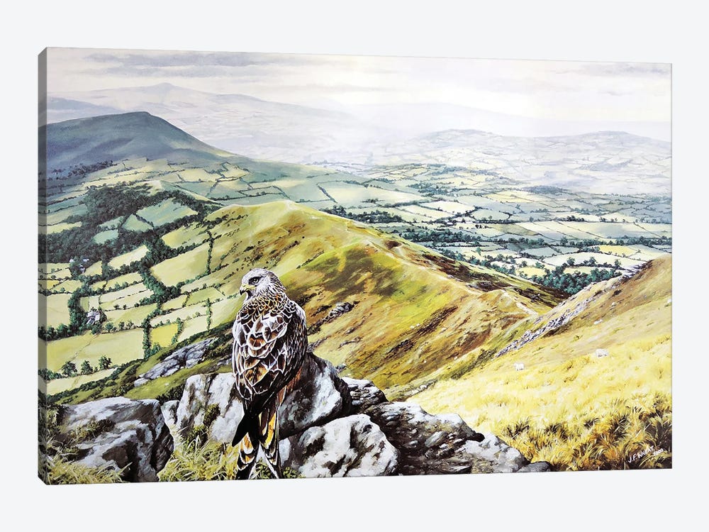 Red Kite Realm by Julian Wheat 1-piece Canvas Wall Art