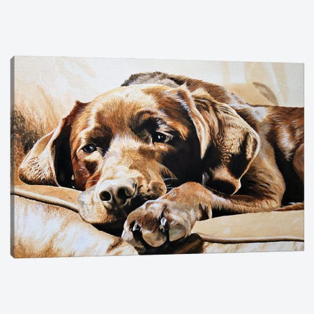 Chocolate Labrador Canvas Print #JUW7} by Julian Wheat Canvas Print