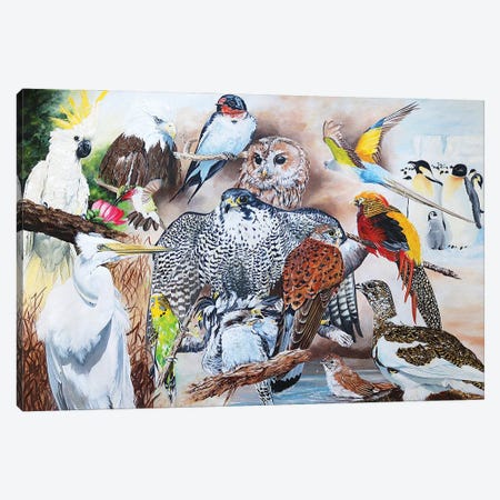 Birds Of The World Canvas Print #JUW8} by Julian Wheat Canvas Artwork