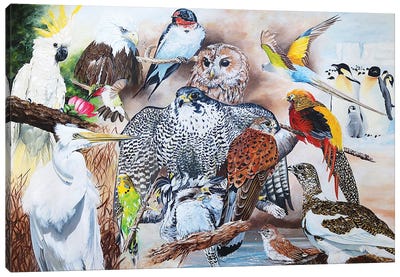 Birds Of The World Canvas Art Print - Buzzard & Hawk Art