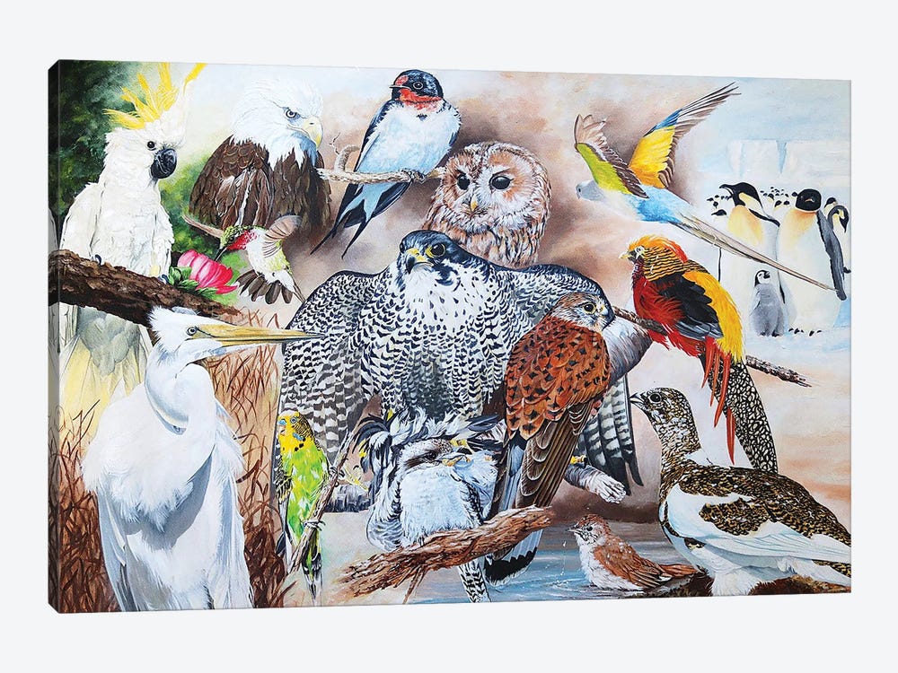 Birds Of The World by Julian Wheat 1-piece Canvas Art