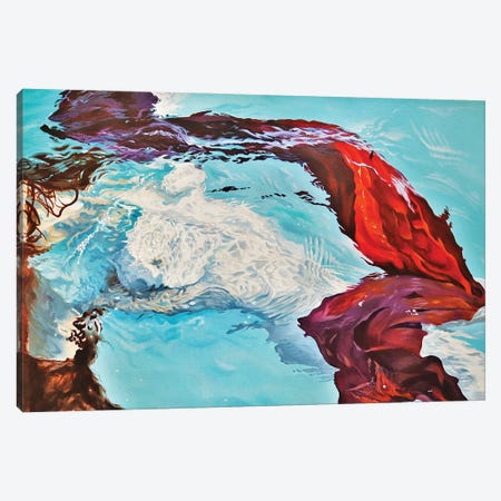 Aquatic Forms Canvas Print #JUW9} by Julian Wheat Canvas Art