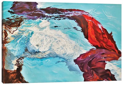 Aquatic Forms Canvas Art Print - Julian Wheat