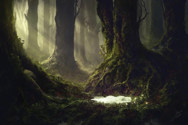 Sleeping & Napping: The Sleeping by Julian Bauer