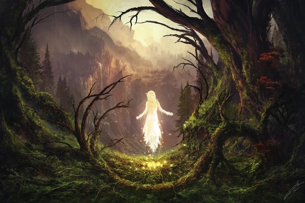 Dreamer: The Awakening by Julian Bauer