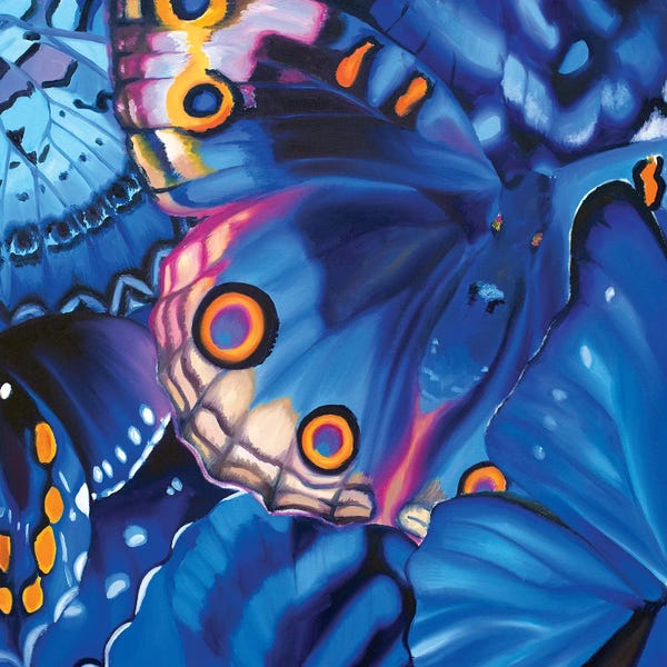 Wings: Taking A Chance Butterflies by Julia Ryan