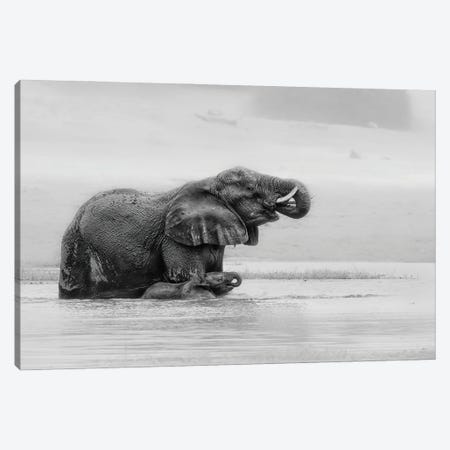 Crossing The River With Mother Canvas Print #JUZ3} by Jun Zuo Art Print