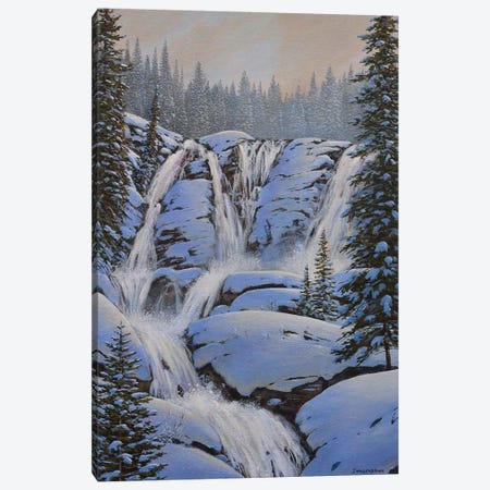 Winter Falls Canvas Print #JVB111} by Jake Vandenbrink Canvas Wall Art