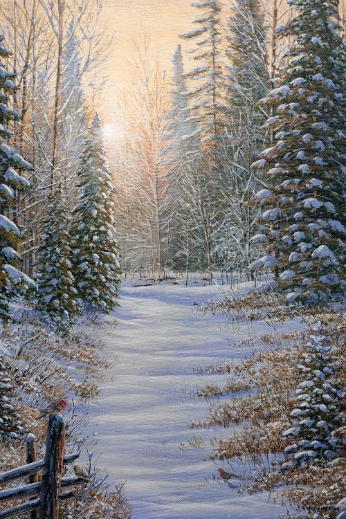 Winter Magic by Jake Vandenbrink wall art