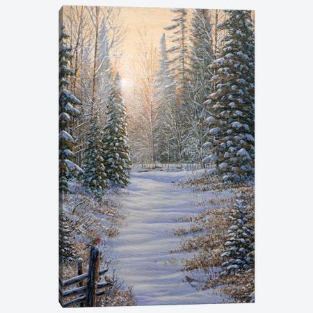 Winter Magic Canvas Print #JVB12} by Jake Vandenbrink Canvas Art