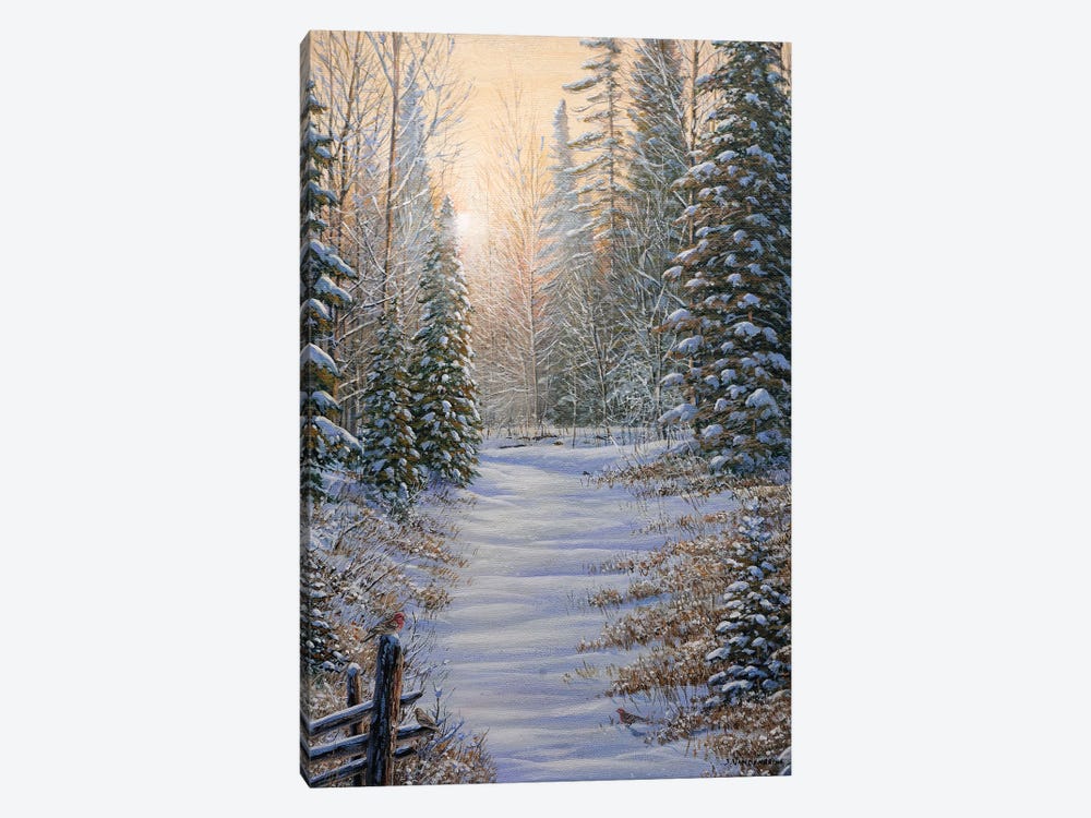 Winter Magic by Jake Vandenbrink 1-piece Canvas Art Print
