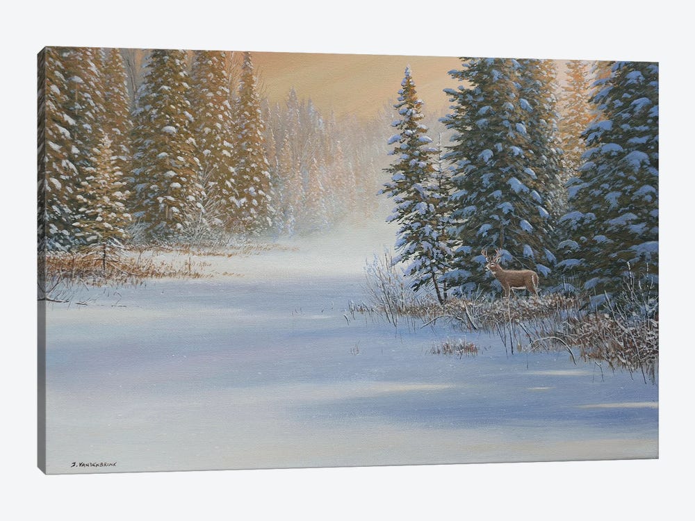 Snow Wonder by Jake Vandenbrink 1-piece Canvas Wall Art