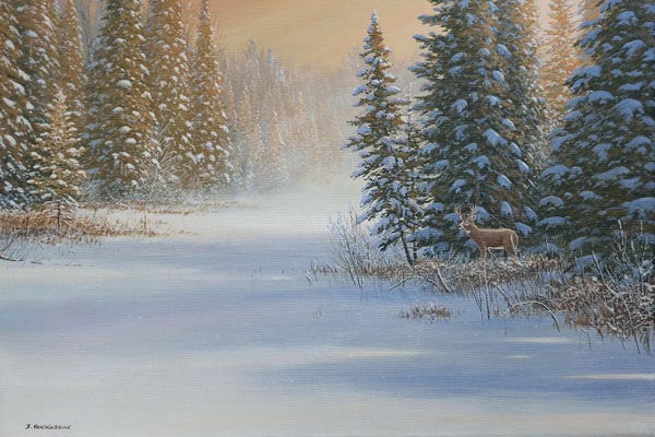 Lakehouse Décor: Snow Wonder by Jake Vandenbrink