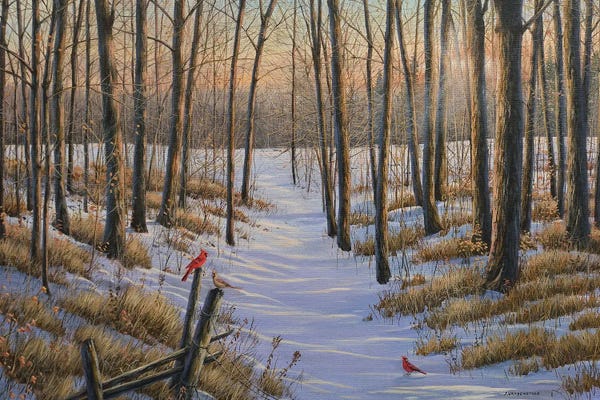 Lakehouse Décor: On The Path Of Light by Jake Vandenbrink