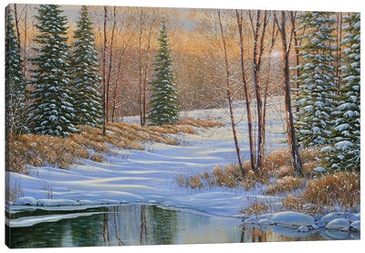 All Is Calm Canvas Art Print - Canada Art