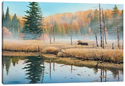 Mists Of Dawn Canvas Art Print - Moose Art