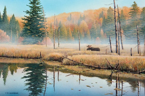 Lakehouse Décor: Mists Of Dawn by Jake Vandenbrink