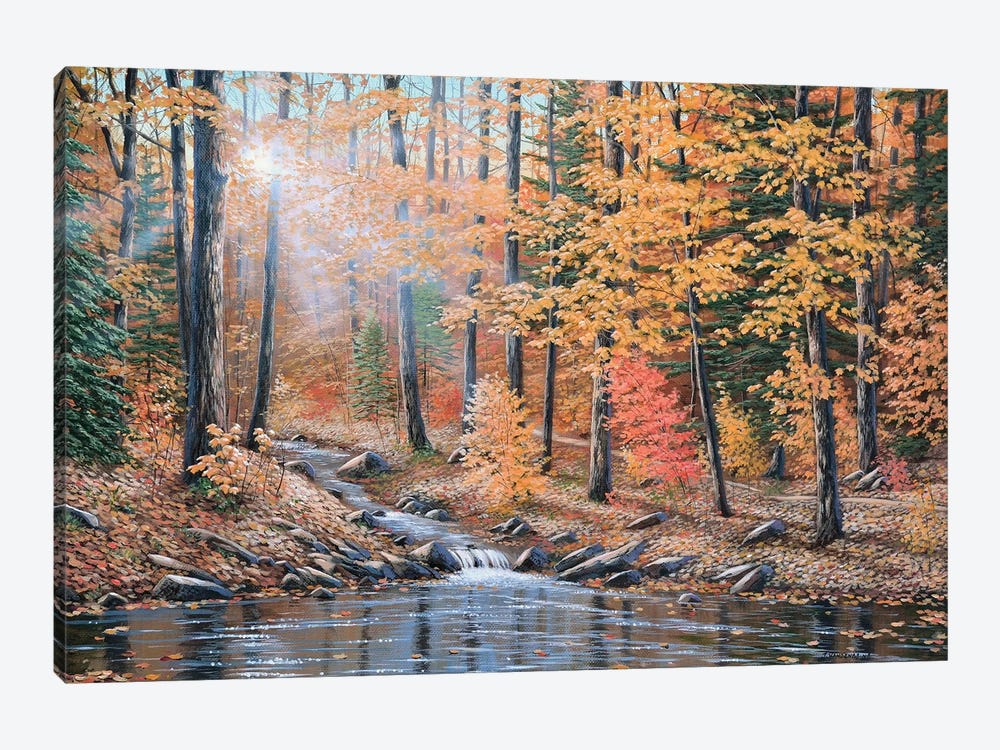 Woodland Trail by Jake Vandenbrink 1-piece Canvas Art