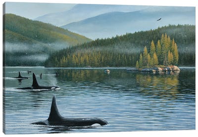 The Inside Passage Canvas Art Print - Whale Art