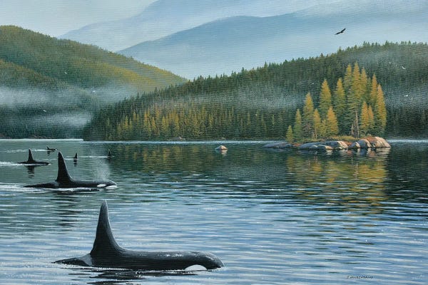 Refreshing Workspace: The Inside Passage by Jake Vandenbrink