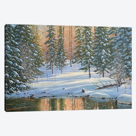 Winter Reflection Canvas Print #JVB31} by Jake Vandenbrink Canvas Art