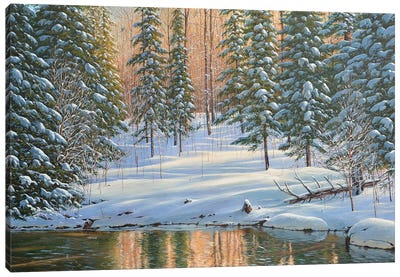 Winter Reflection Canvas Art Print - Lakehouse Décor