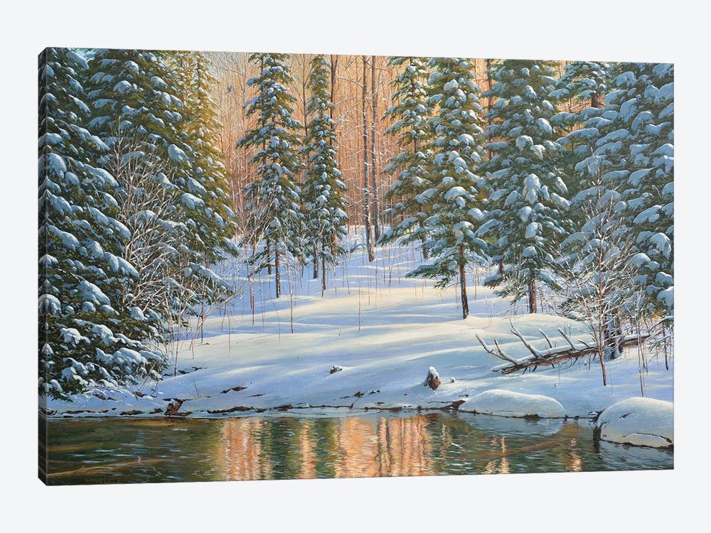 Winter Reflection by Jake Vandenbrink 1-piece Canvas Wall Art