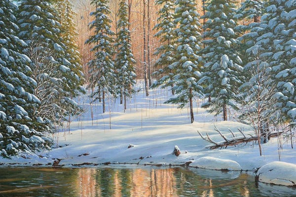 Refreshing Workspace: Winter Reflection by Jake Vandenbrink