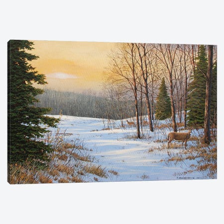 A Chill In The Air Canvas Print #JVB33} by Jake Vandenbrink Canvas Art