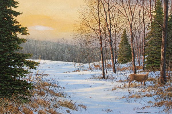 Lakehouse Décor: A Chill In The Air by Jake Vandenbrink