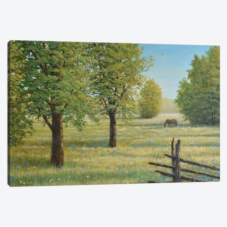 Morning Meadow Canvas Print #JVB34} by Jake Vandenbrink Canvas Print