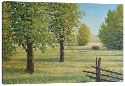 Morning Meadow Canvas Art Print - Lakehouse Décor