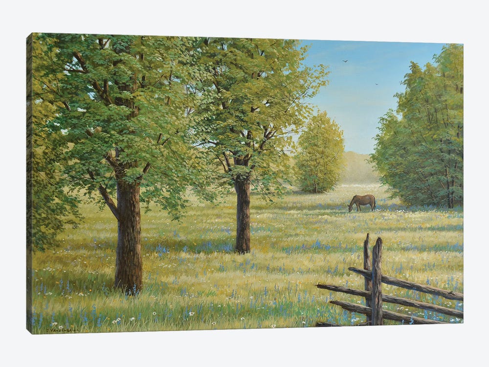 Morning Meadow by Jake Vandenbrink 1-piece Canvas Art Print