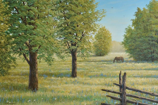 Canada: Morning Meadow by Jake Vandenbrink