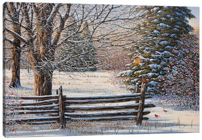 December Snow Canvas Art Print - Jake Vandenbrink
